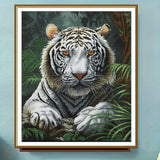 "White Tiger" Cross Stitch Kit Nova Sloboda