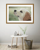 "DOG" Cross Stitch Kit Nova Sloboda