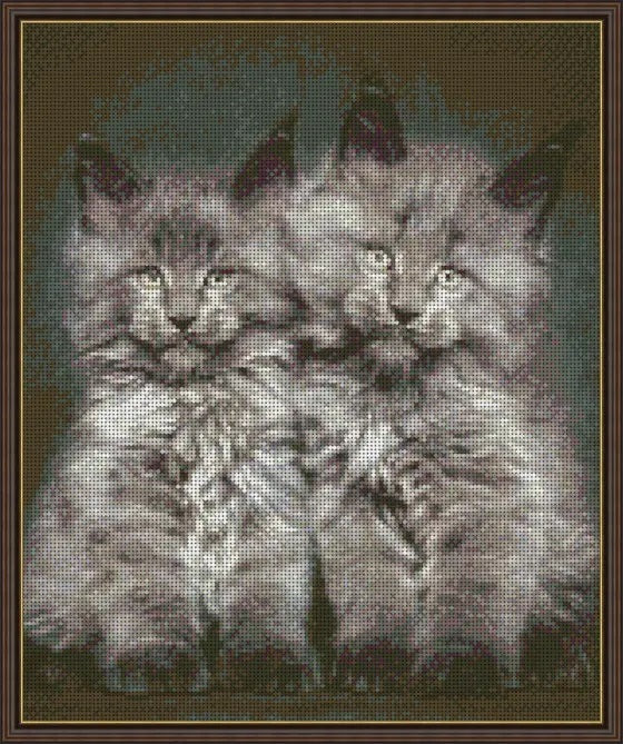 Bead Embroidery Kit DIY Maine Coon kittens