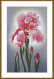 "Pink flowers" Cross Stitch Kit Nova Sloboda (Copy)