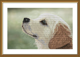 "DOG" Cross Stitch Kit Nova Sloboda