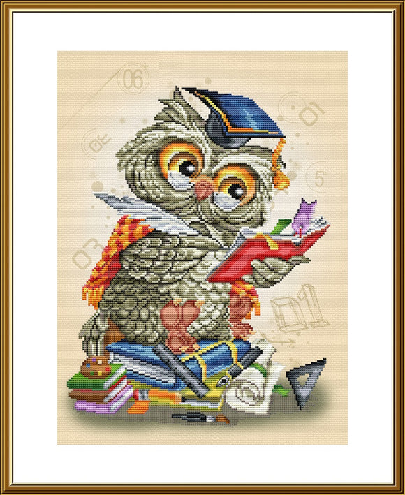 Cross Stitch Kit Wise owl