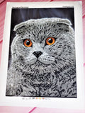 Scottish fold cat Bead embroidery kit