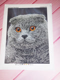 Scottish fold cat Bead embroidery kit