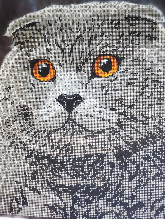 Scottish fold cat Bead embroidery kit