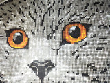 Scottish fold cat Bead embroidery kit