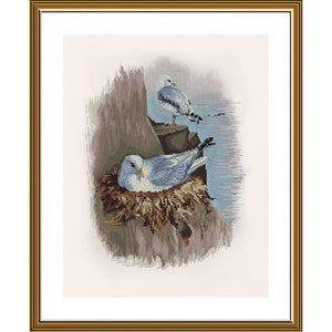 Cross Stitch Kit Seagulls Nova Sloboda