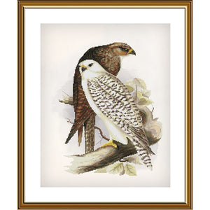 Cross Stitch Kit Eagles are proud birds Nova Sloboda