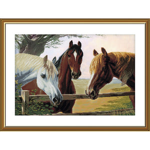 HORSE Cross Stitch Kit Nova Sloboda