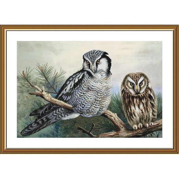 OWLS Cross Stitch Kit Nova Sloboda