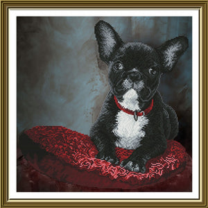 Cross Stitch Kit FRENCH BULLDOG Nova Sloboda