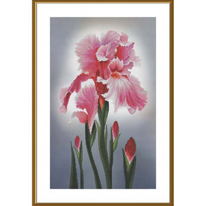 Cross Stitch Kit FLOWER PINK IRIS Nova Sloboda