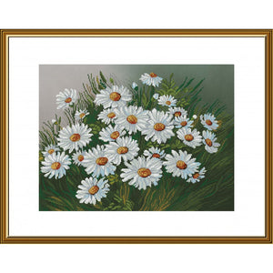 Daisies Cross Stitch Kit Nova Sloboda