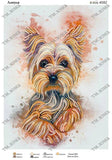 DIY Bead Embroidery Kit Yorkshire Terrier