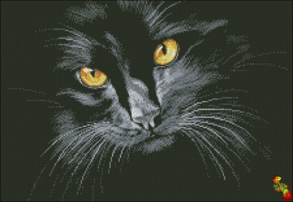 Black Cat Embroidery Kit