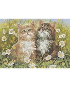 Bead Embroidery Kit DIY cats in daisies - Marlena.shop