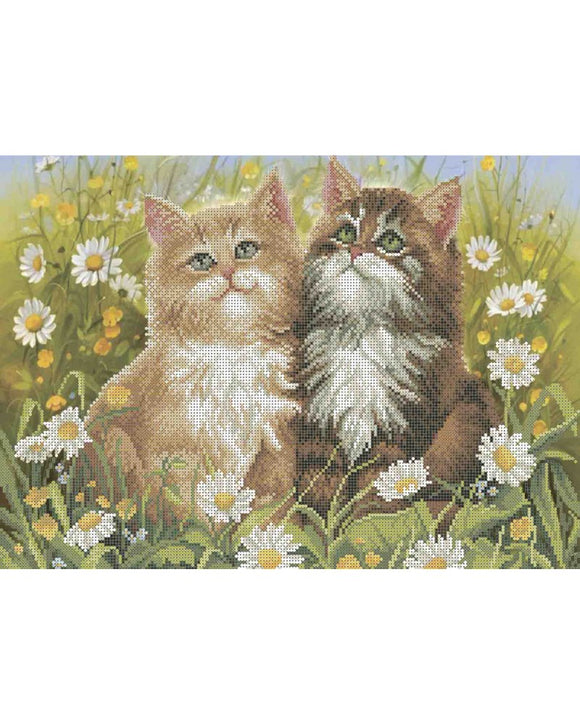 Bead Embroidery Kit DIY cats in daisies - Marlena.shop