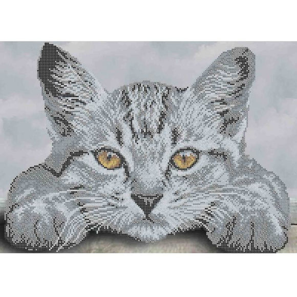 Bead Embroidery Kit DIY picture golden cat look - Marlena.shop