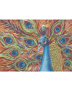 Bead Embroidery Kit DIY color PEACOCK - Marlena.shop