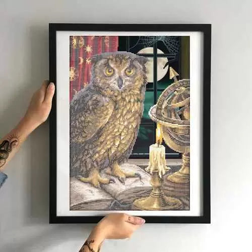 Bead Embroidery Kit DIY Wise Owl