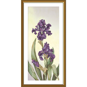 DIY Cross Stitch Kit "Iris Kaempfer" Nova Sloboda