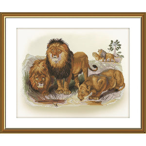 DIY Cross Stitch Kit "LIONS" Nova Sloboda