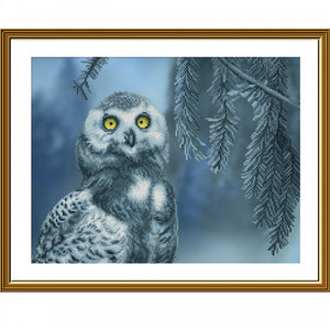 Cross Stitch Kit "OWL Nova Sloboda