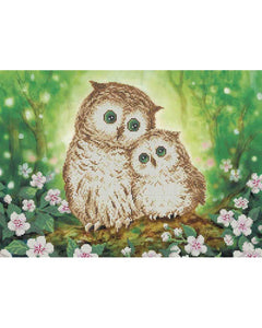 Bead Embroidery Kit DIY two Owls - Marlena.shop