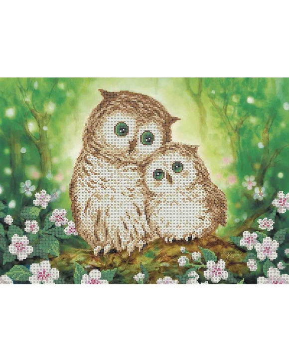 Bead Embroidery Kit DIY two Owls - Marlena.shop