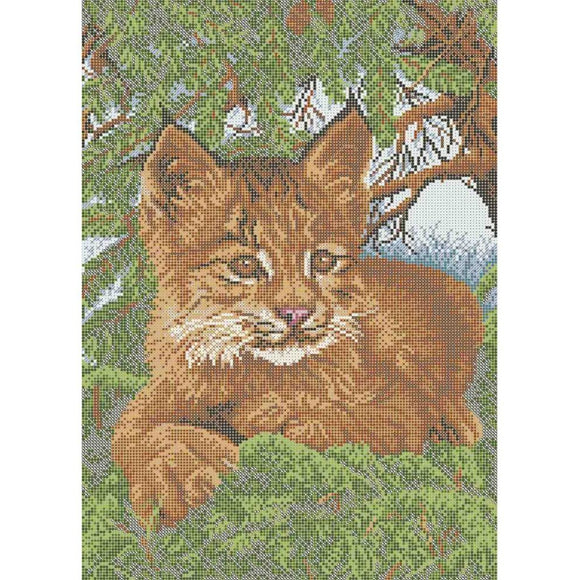 Bead Embroidery Kit DIY picture baby lynx - Marlena.shop