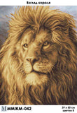 Bead Embroidery Kit The look of a lion